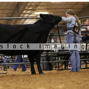 Meet your Posher, Daisy